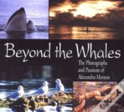 Capa do artigo Beyond The Whales