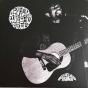 Beyond The Willow Tree - Vinil - Preview