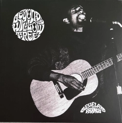 Capa do artigo Beyond The Willow Tree - Vinil