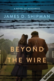 Capa do artigo Beyond The Wire