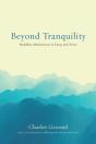Beyond Tranquility - Preview