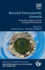 Beyond Uneconomic Growth - Preview