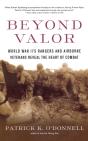 Beyond Valor - Preview