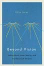 Beyond Vision - Preview