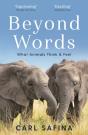 Beyond Words - Preview