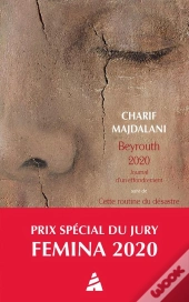 Beyrouth 2020 : Journal D'Un Effondrement