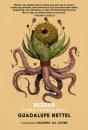 Bezoar - Preview