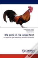 Bf2 Gene In Red Jungle Fowl