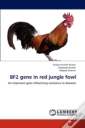 Bf2 Gene In Red Jungle Fowl
