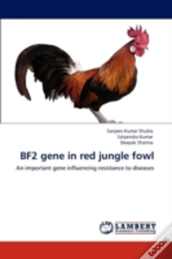 Capa do artigo Bf2 Gene In Red Jungle Fowl
