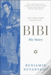 Capa do artigo Bibi