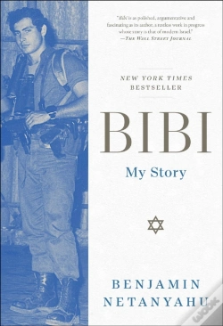 Capa do artigo Bibi