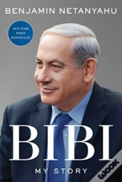 Capa do artigo Bibi