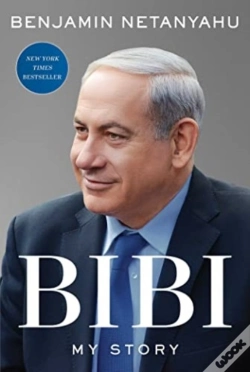 Capa do artigo Bibi