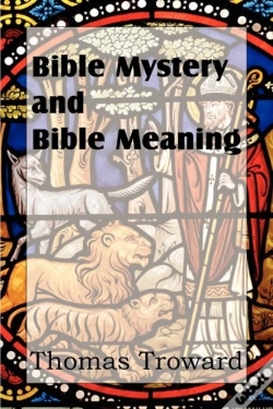 Capa do artigo Bible Mystery And Bible Meaning