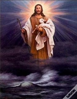 Capa do artigo Bible