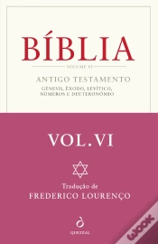 Capa do artigo Bíblia - Volume VI