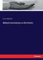 Biblical Commentary On The Psalms - Preview