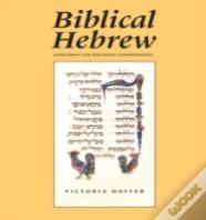 Biblical Hebrew, Second Ed. (Supplement For Advanced Comprehension)