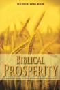 Biblical Prosperity - Preview