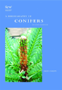 Bibliography Of Conifers - Preview
