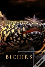 Capa do artigo Bichirs