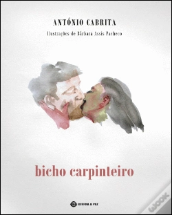 Capa do artigo Bicho Carpinteiro