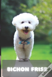 Capa do artigo Bichon Frise