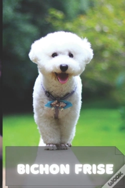 Capa do artigo Bichon Frise