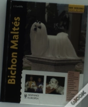 Capa do artigo Bichon Maltés