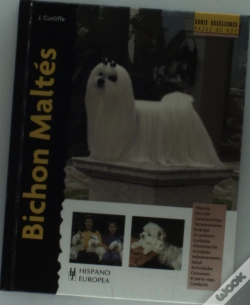 Capa do artigo Bichon Maltés