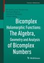 Bicomplex Holomorphic Functions - Preview