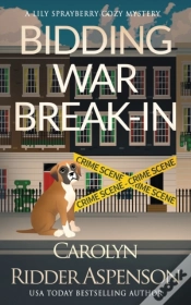 Capa do artigo Bidding War Break-In