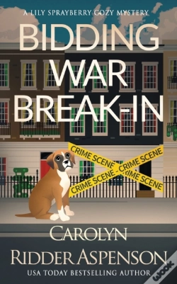 Capa do artigo Bidding War Break-In