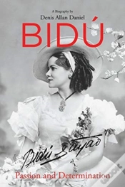 Capa do artigo Bidu