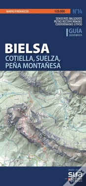 Capa do artigo Bielsa