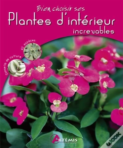 Capa do artigo Bien Choisir Ses Plantes D'Intérieur Increvables