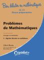 Bien Débuter En Mathématiques : Problèmes De Mathématiques Tome 3 ; Algèbre Linéaire Et Euclidienne ; L2/L3/Classes Préparatoires ; Corrigés Et Commen - Preview