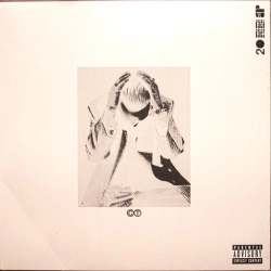 Capa do artigo Bien:( - Vinil
