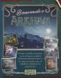 Bienvenido A Arkham - Preview