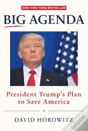 Capa do artigo Big Agenda