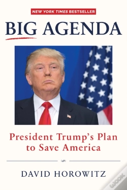 Capa do artigo Big Agenda