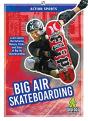 Big Air Skateboarding - Preview