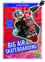 Big Air Skateboarding - Preview