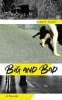 Big And Bad - Preview