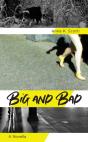 Big And Bad - Preview