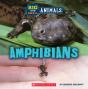 Big And Small: Amphibians (Wild World) - Preview