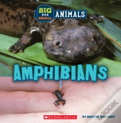 Big And Small: Amphibians (Wild World)