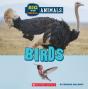Big And Small: Birds (Wild World) - Preview