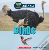 Big And Small: Birds (Wild World)